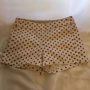 J Crew Shorts